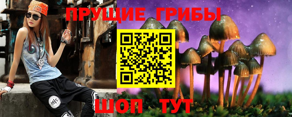 Псилоцибиновые грибы GOLDEN TEACHER Сызрань