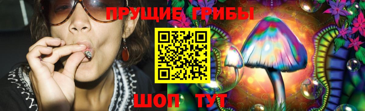 Сызрань  Псилоцибиновые грибы Cubensis  Вход с VPN 